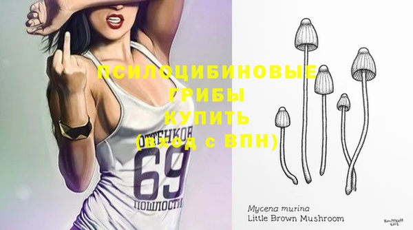 ПСИЛОЦИБИНОВЫЕ ГРИБЫ Михайлов