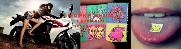 ПСИЛОЦИБИНОВЫЕ ГРИБЫ Михайлов