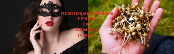 амф Михайловка