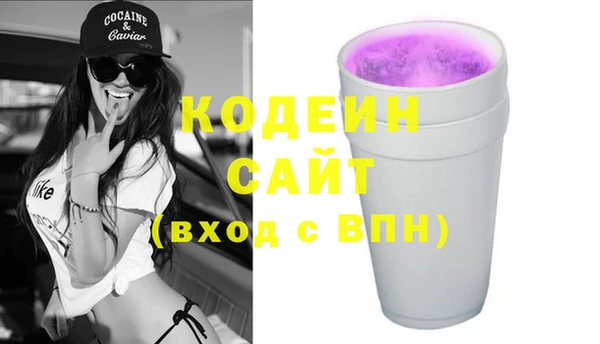 ПСИЛОЦИБИНОВЫЕ ГРИБЫ Михайлов