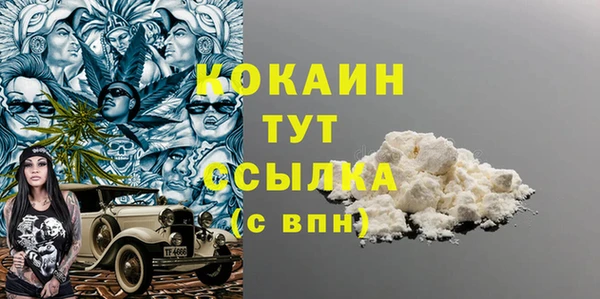 ПСИЛОЦИБИНОВЫЕ ГРИБЫ Михайлов