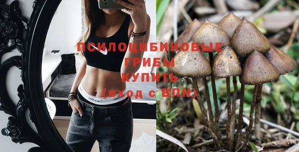 ГАЛЛЮЦИНОГЕННЫЕ ГРИБЫ Михайловск
