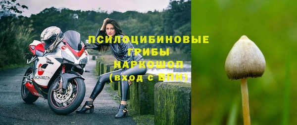 амф Михайловка