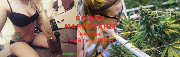 ГАЛЛЮЦИНОГЕННЫЕ ГРИБЫ Михайловск