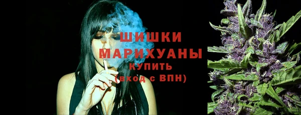 ПСИЛОЦИБИНОВЫЕ ГРИБЫ Михайлов