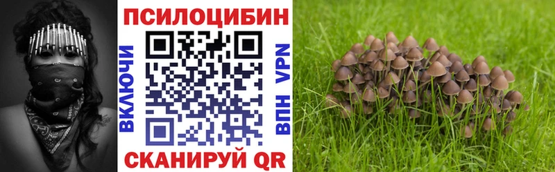 Галлюциногенные грибы прущие грибы где найти Смоленск